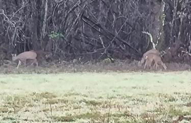 Les maisons de la feuillade - Foto 2