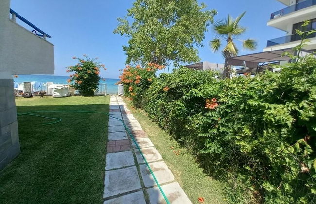 Greek Pride Evlogia - Foto 35