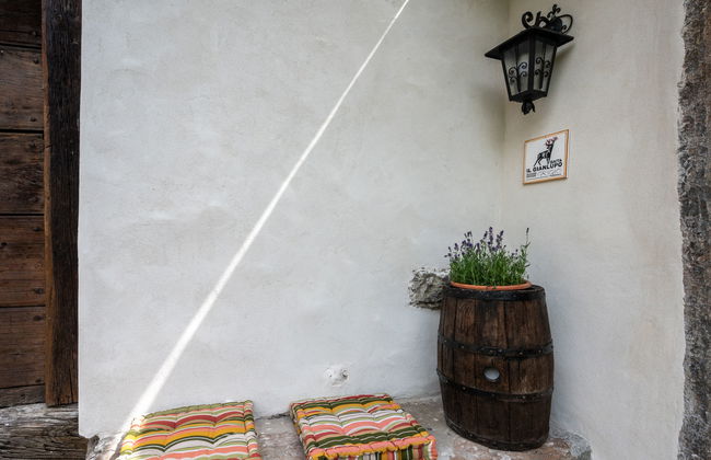 Il Gianlupo Grigio - Foto 26