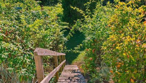 Holiday Home Sand by Interhome - Foto 3