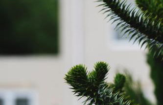 Large Country House with Hot Tub, Pool Table, and Log Burner - Photo 40