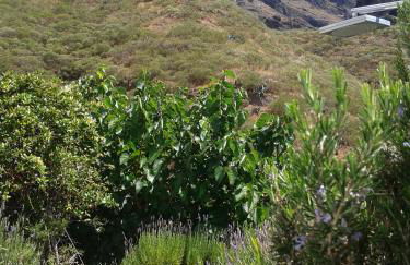 Casa Rural La Tinta - Foto 17