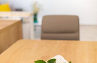 APARTMAN IVONA U PRIZEMLJU - Foto 18