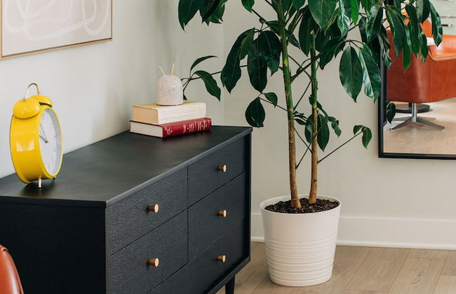 Stellar Suites - Foto 79