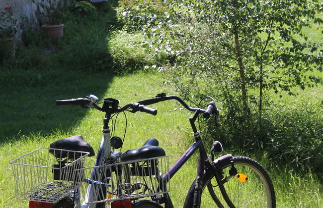 Ferienwohnung in Steffenshagen mit Garten - Foto 28