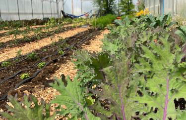 Tiny home on an organic croft, Isle of Arran - Photo 12