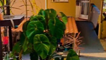 Visão privilegiada Garatucaia - Foto 5