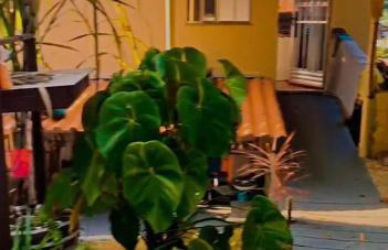 Visão privilegiada Garatucaia - Foto 5