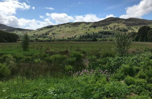 Rowan Cottage, CrannachCottages - Foto 13