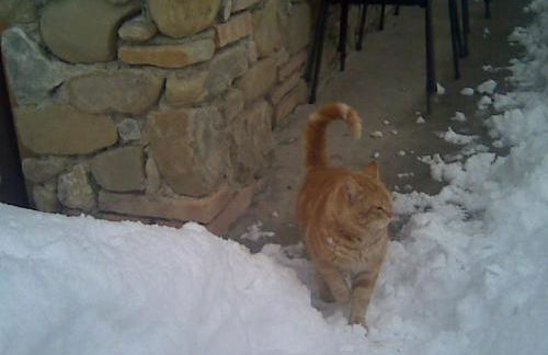 Agriturismo le Spighe - Fattoria Bertaccini - Foto 105
