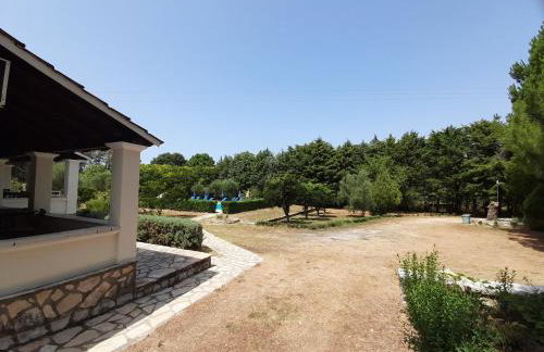 Lemontree Apartments - Foto 61