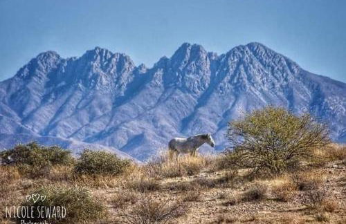 Rio Rancho Verde Two Bedroom Suite - Foto 8