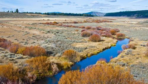 Charming Lake Tahoe Cabin - Foto 3