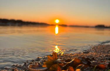 Ty-Du - Bois Brulé - Ile Tudy - Maison Hôtelière - Plage du Sillon - Parking Privé - Photo 55