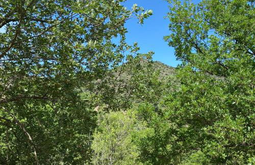 RIBES - Chalet Gîte au coeur de la nature - Foto 21