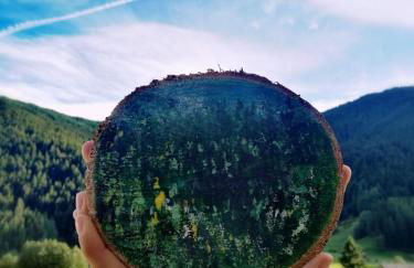 La Bella Vita House Mountain & Relax - Foto 11