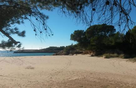 ROQUES DAURADES III - JARDIN PRIVADO - Foto 30