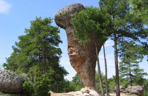 Apartamentos Miguel Angel - Foto 50