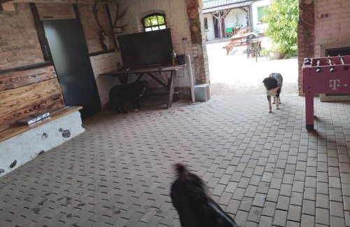 Gospodarstwo agroturystyczne - Foto 46