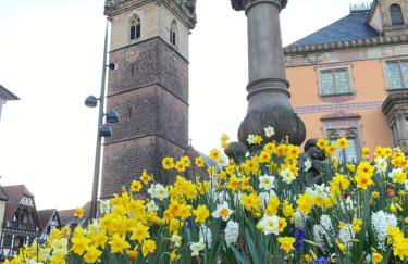 Chez Lio & Jess - Foto 32