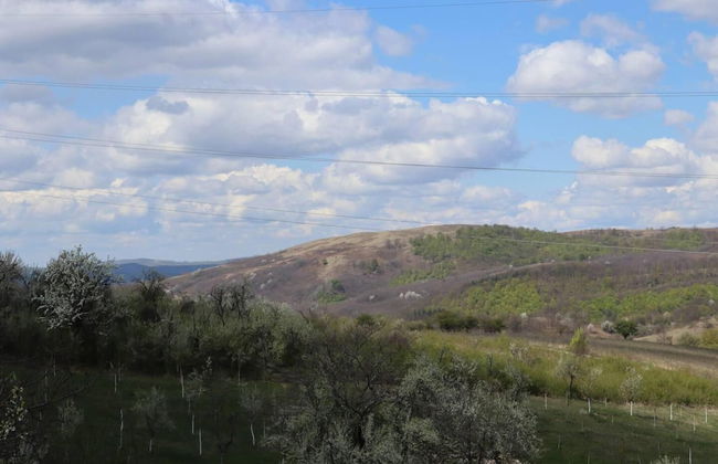 Charming 2bed Cottage in Carasova, Banat Mountains - Foto 19