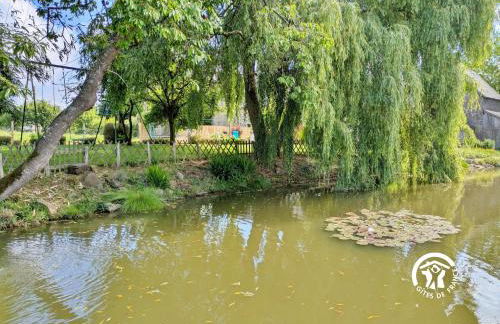 La grande reignière - Photo 46