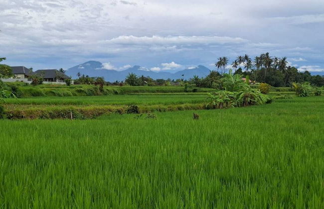 Pondok Padiku Villa by Nusantara - Foto 15
