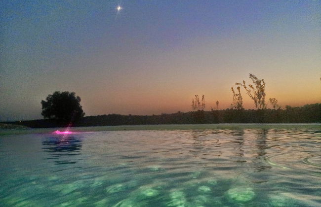 Falcon Home Resort - Photo 46