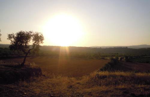 Apartaments Ca La Pauleta - Foto 44