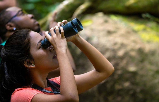Birdwatching a Castries Waterworks - Foto 14