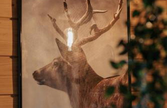 Wichrowa chata - Foto 21