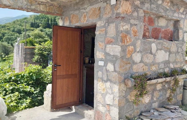 Mahakala Center - Foto 69