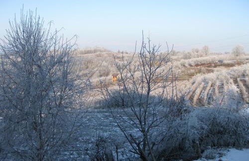Agriturismo Cascina Ponchietta - Foto 45