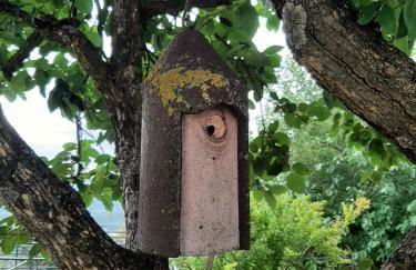 Sunset Valley - A Tuscan Experience - Foto 29