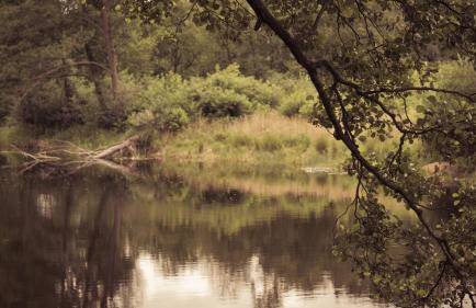 Masuria Warsaw - dom na wyłączność - w lesie i przy rzece - 15 min od Warszawy - Foto 63