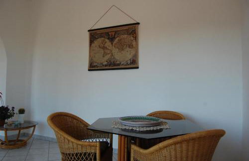 Hibiscus Rosso - Foto 15