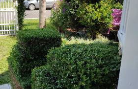 casarosaencantada -villaencantorosa - Photo 6