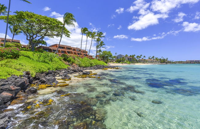 Kuleana 614 - 1Br Condo - Foto 93