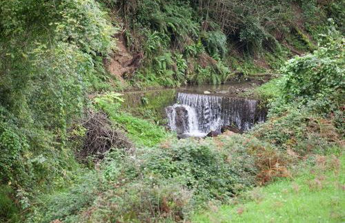 Dreamy Cottage in Trebbio with Pool - Foto 31