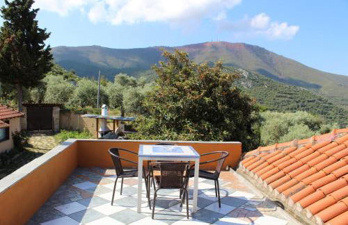 Varias Art House - Foto 38