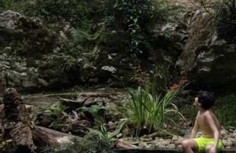 Bosque de Cuevas - Foto 37