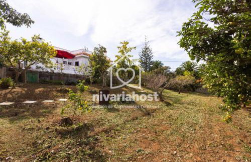 Tegas: Tacoronte, by Nivariahost - Foto 30