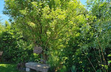 Domek Drwala k. Karpacza - Foto 9