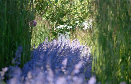 Ferienwohnungen im Fischerdorf und - Foto 14
