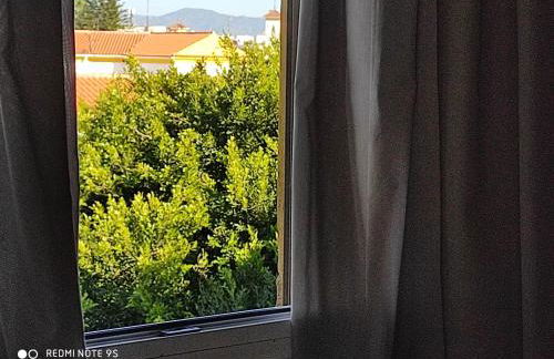 Apartamento Victoria - Foto 17