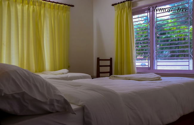 Lemon Tree Apartment and Homestay - Foto 9