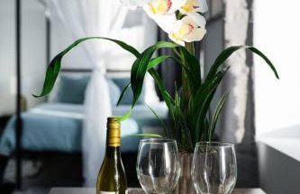 Sunny Modern Loft Montrose Beach Rooftop WFH Gym - Photo 11