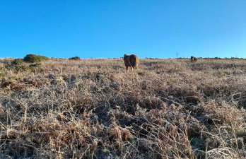 Fox Tor Apartment - Foto 17