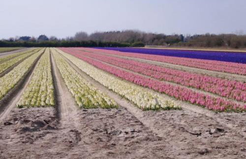 Appartement Pont l'Abbé Entre océan et campagne - Foto 19