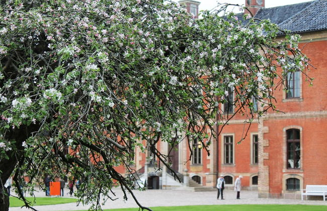 Ferienwohnung in Grundshagen mit Garten - Foto 15
